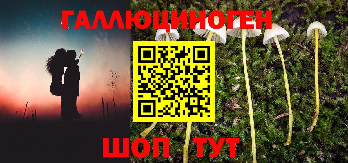 Изобильный  Псилоцибиновые грибы ЛСД  Вход с VPN  Галлюциногенные грибы мицелий 
