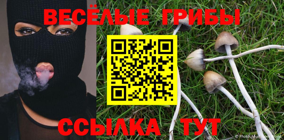 Галлюциногенные грибы мицелий Изобильный